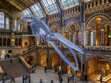 Natural History museum
